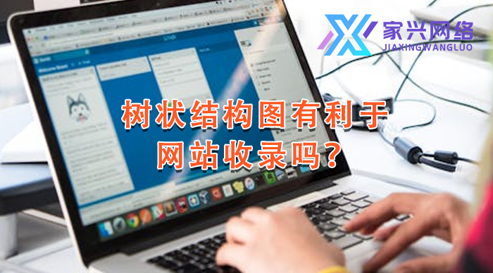 樹(shù)狀結(jié)構(gòu)圖有利于網(wǎng)站收錄嗎？