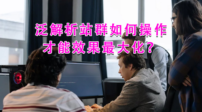 泛解析站群如何操作才能效果最大化?